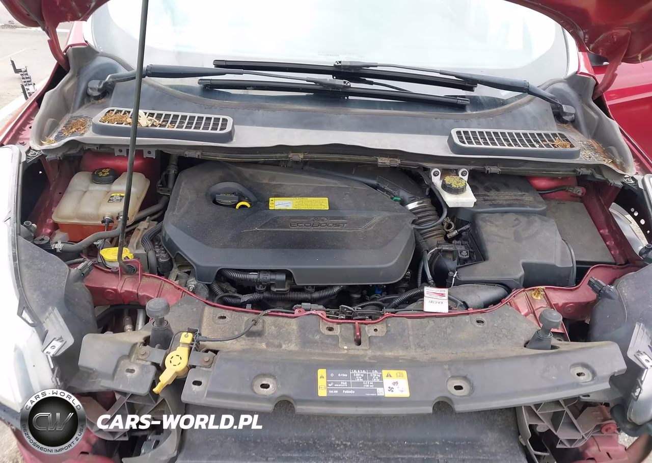 2013 Ford Escape Sel VIN:1FMCU9HX3DUB80527 - 10