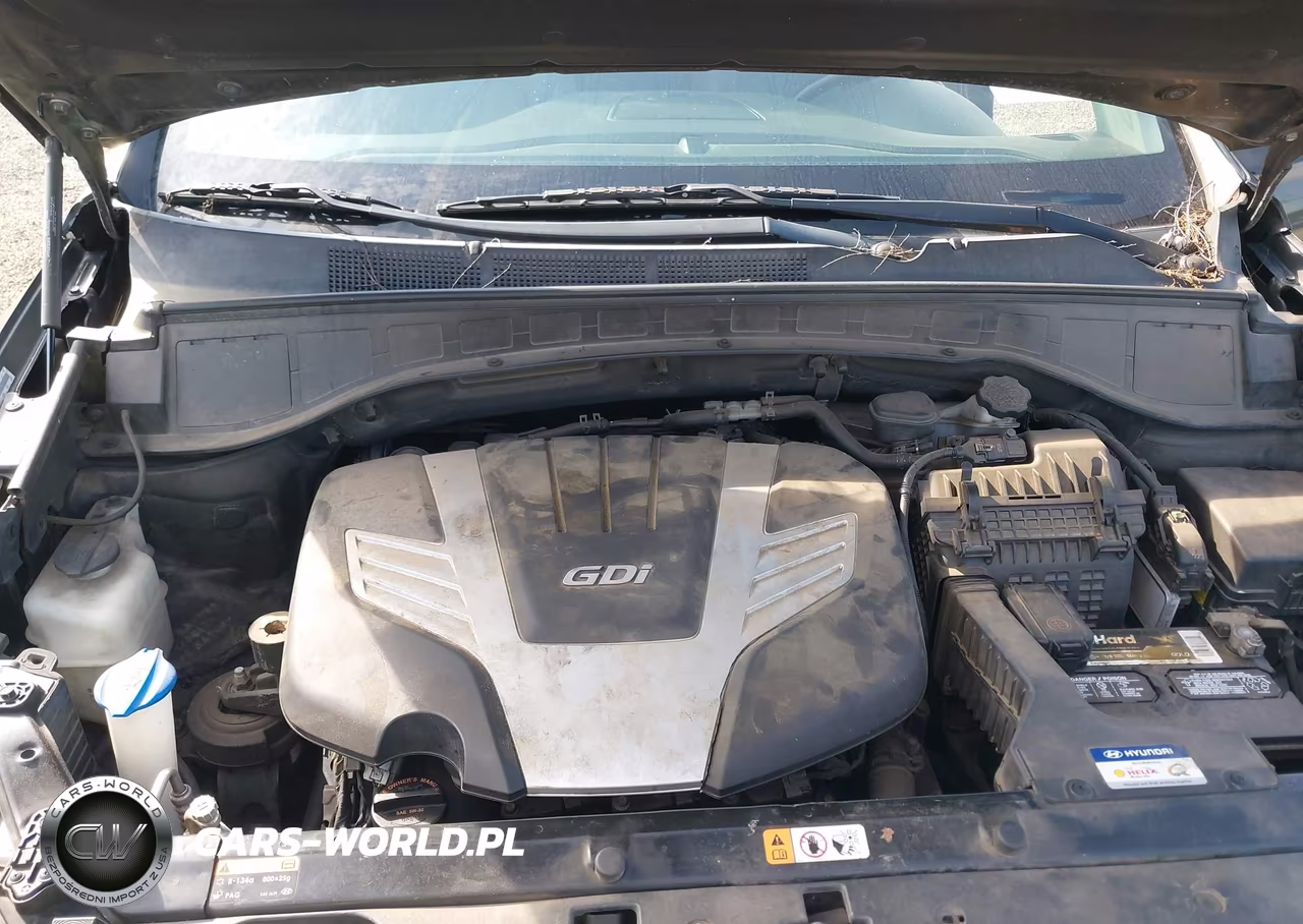 2014 Hyundai Santa Fe Gls VIN:KM8SN4HF0EU065517 - 10