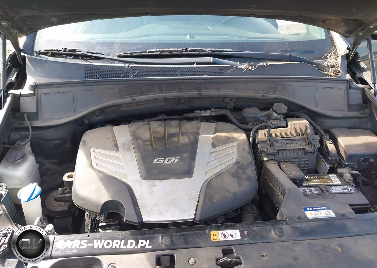 2014 Hyundai Santa Fe Gls VIN:KM8SN4HF0EU065517 - 6