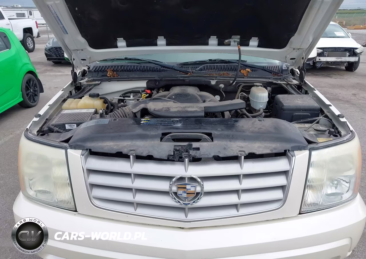 2004 Cadillac Escalade Esv Standard VIN:3GYFK66N94G245241 - 10