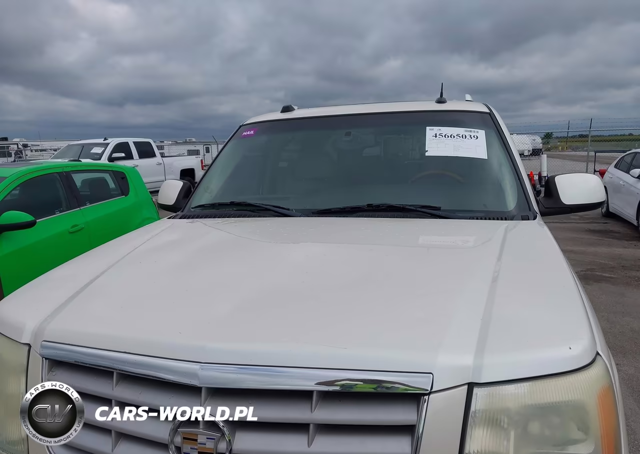 2004 Cadillac Escalade Esv Standard VIN:3GYFK66N94G245241 - 6