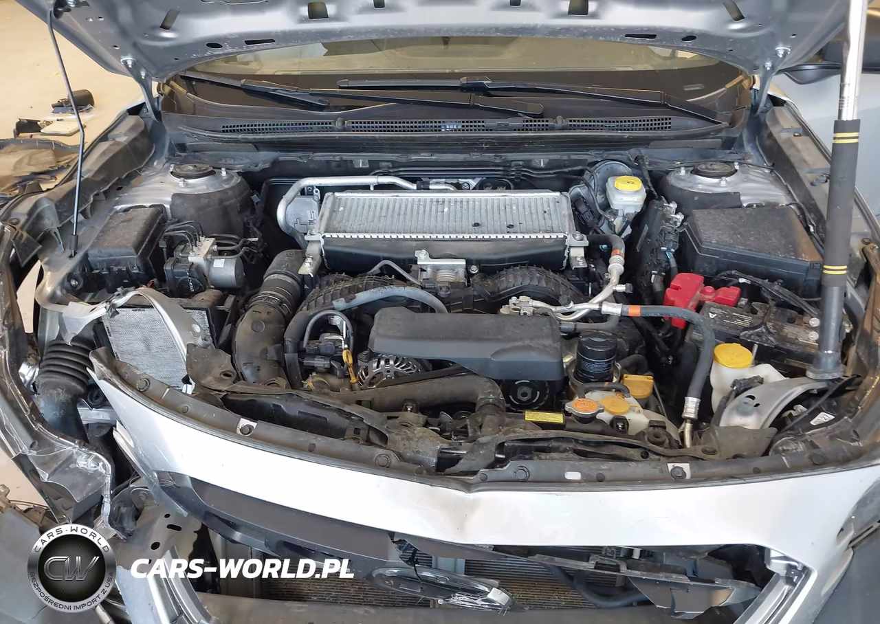 2024 Subaru Outback Wilderness VIN:4S4BTGUDXR3148444 - 10