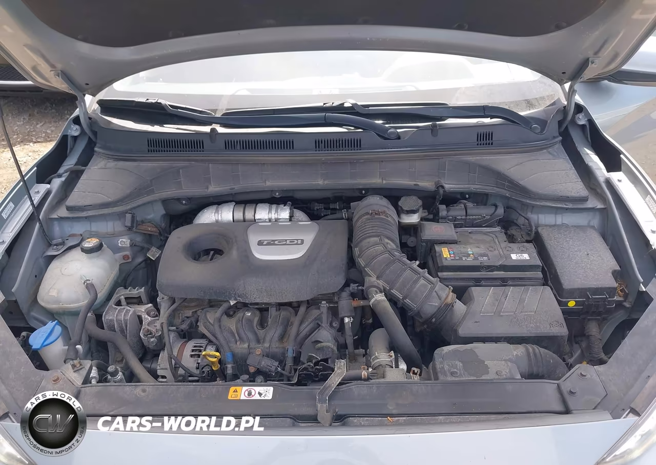 2020 Hyundai Kona Limited VIN:KM8K3CA50LU445066 - 10