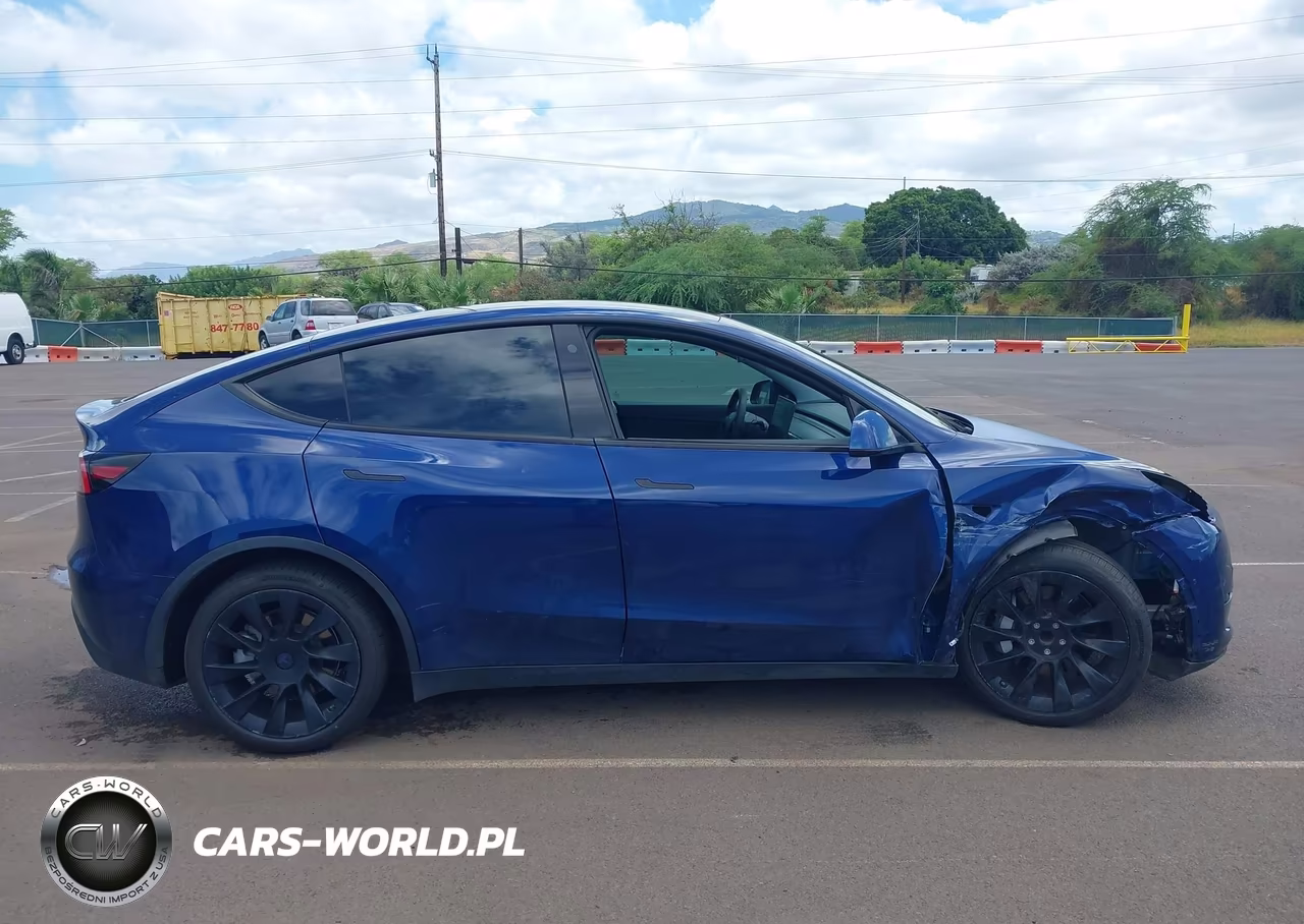 2021 Tesla Model Y Performance Dual Motor All-Wheel Drive-Standard Range Rear-Wheel Drive VIN:5YJYGAED7MF115900 - 14