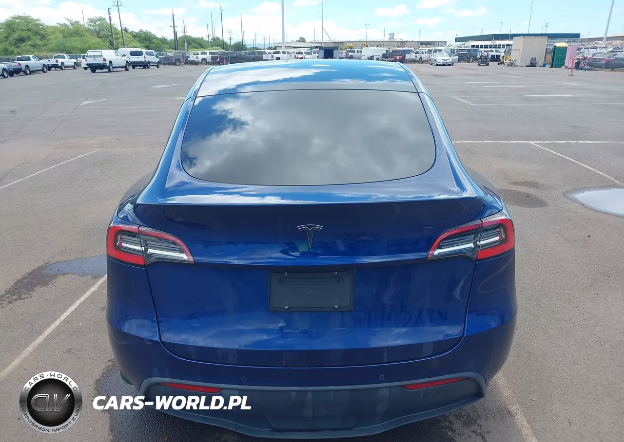 2021 Tesla Model Y Performance Dual Motor All-Wheel Drive-Standard Range Rear-Wheel Drive VIN:5YJYGAED7MF115900 - 17