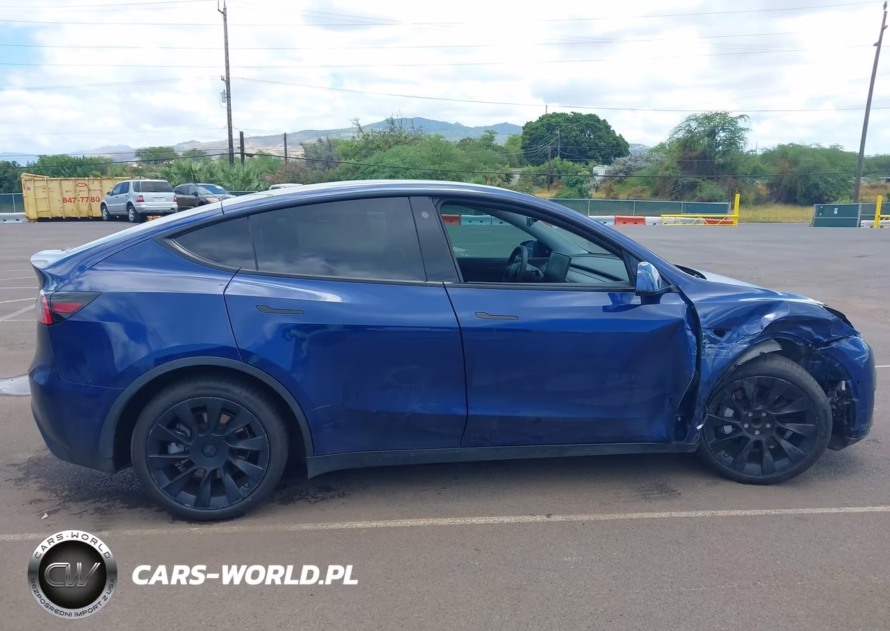 2021 Tesla Model Y Performance Dual Motor All-Wheel Drive-Standard Range Rear-Wheel Drive VIN:5YJYGAED7MF115900 - 20