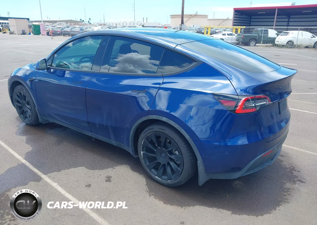 2021 Tesla Model Y Performance Dual Motor All-Wheel Drive-Standard Range Rear-Wheel Drive VIN:5YJYGAED7MF115900 - 3