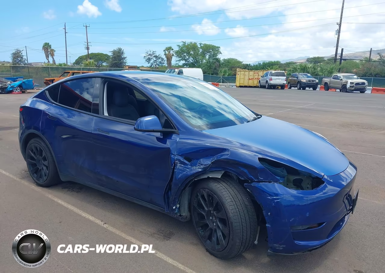 2021 Tesla Model Y Performance Dual Motor All-Wheel Drive-Standard Range Rear-Wheel Drive VIN:5YJYGAED7MF115900 - 6