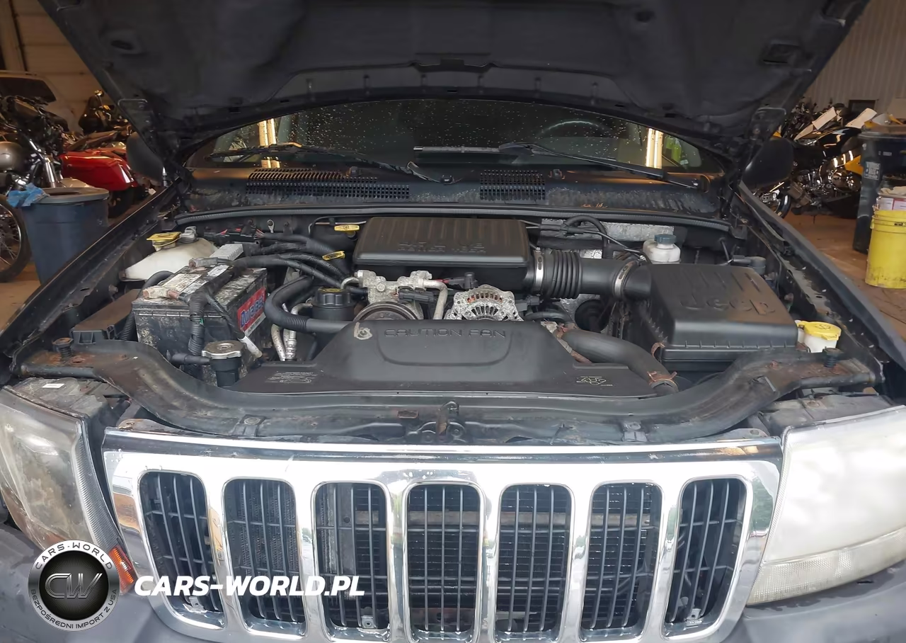 2003 Jeep Grand Cherokee Laredo VIN:1J4GW48N73C579487 - 10