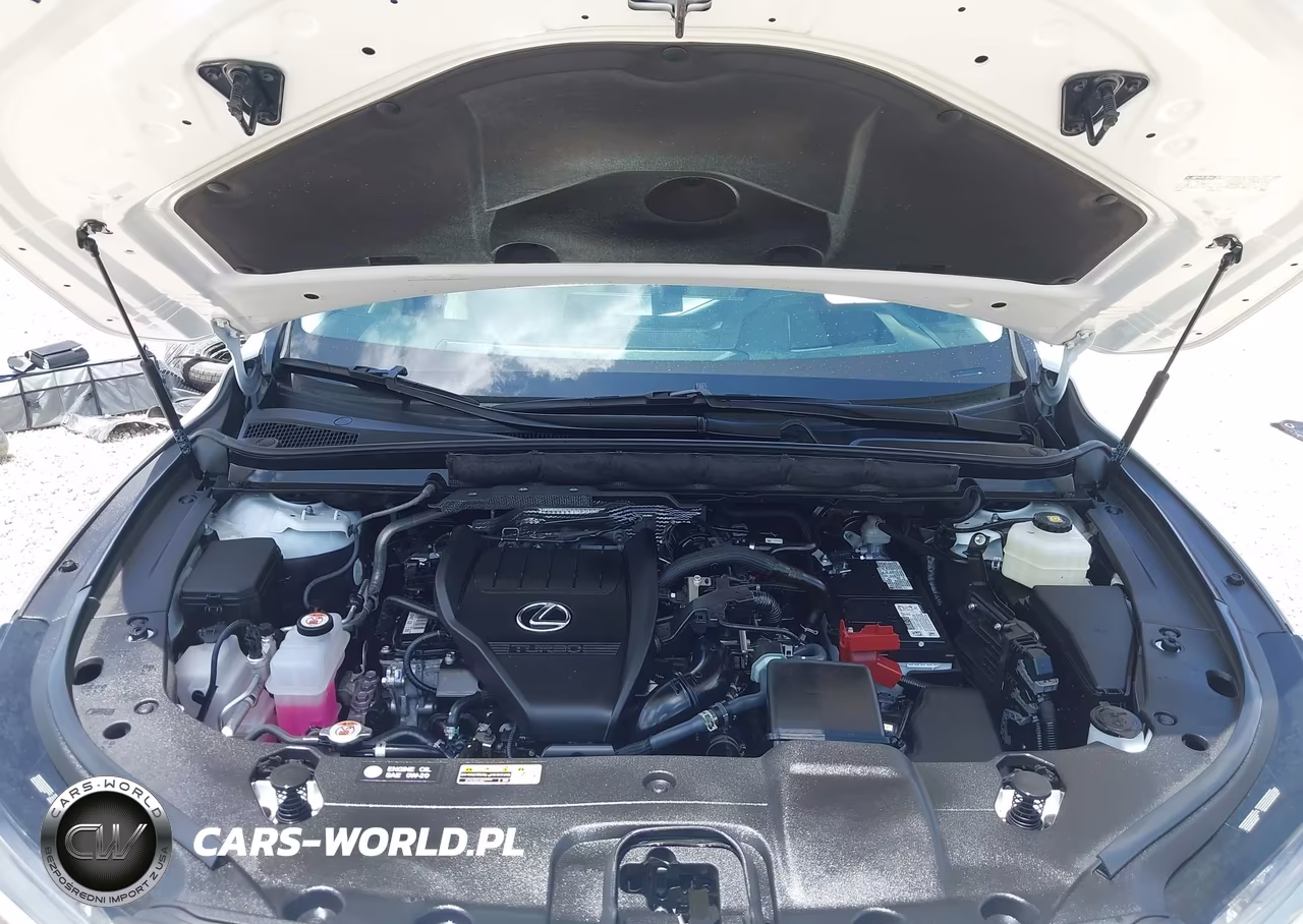 2025 Lexus Rx 350 Premium Plus VIN:2T2BAMBA0SC057919 - 10