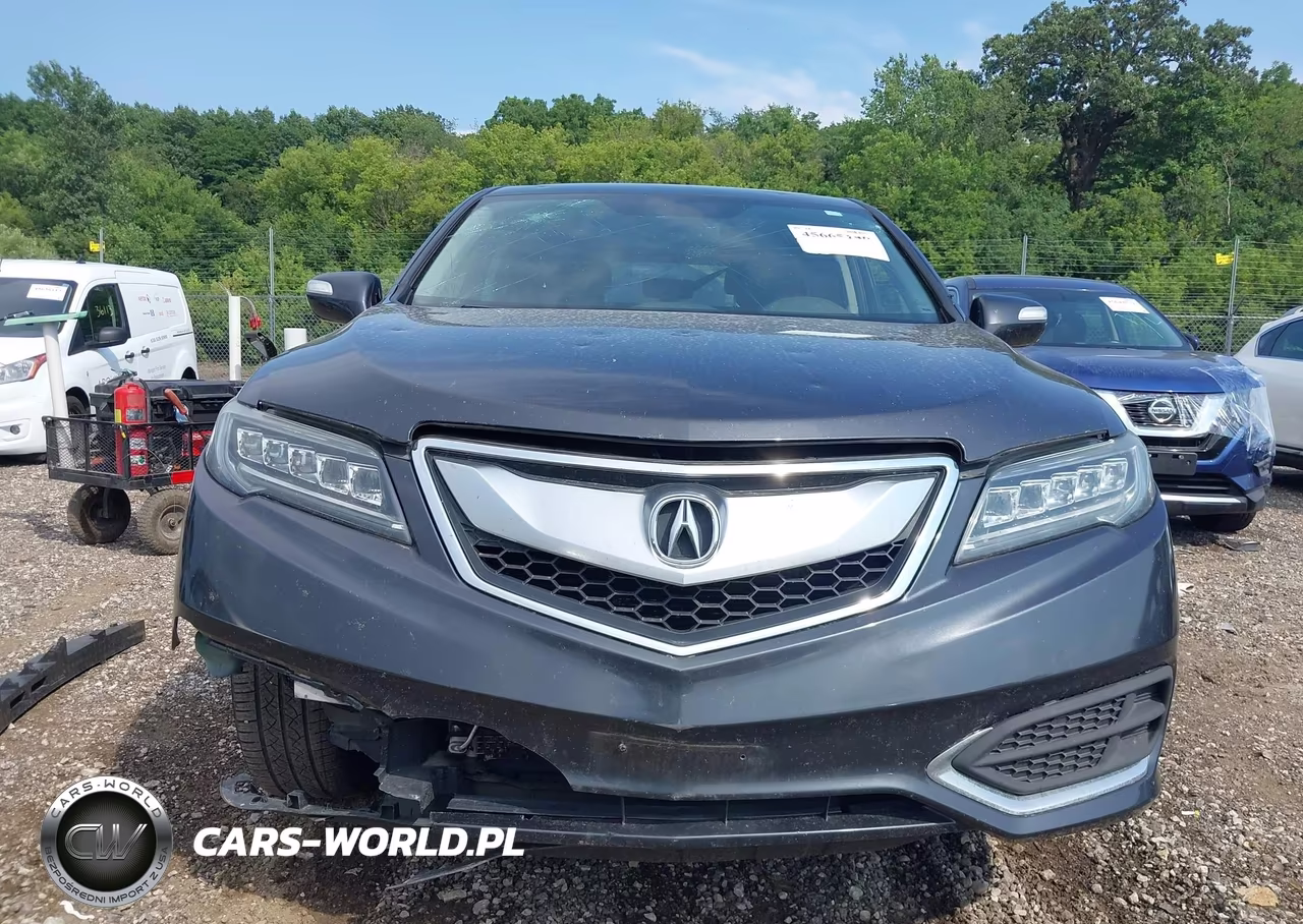 2016 Acura Rdx Acurawatch Plus Pkg VIN:5J8TB3H3XGL008804 - 12