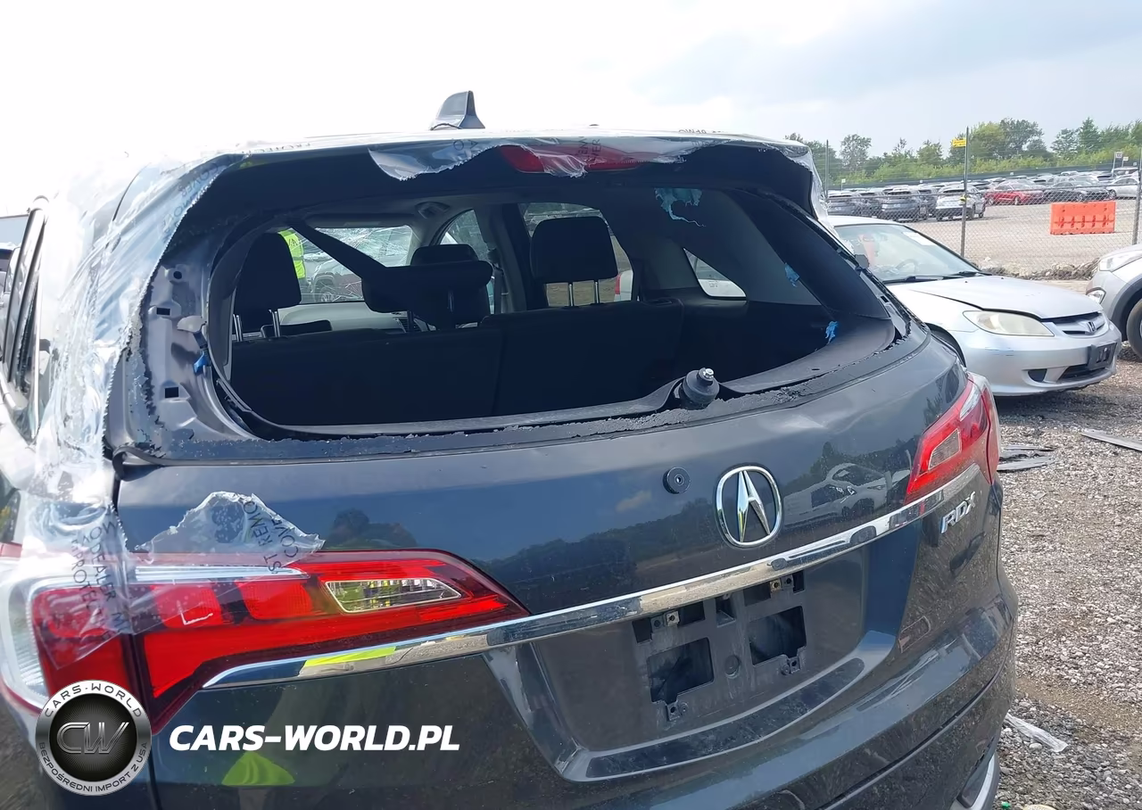 2016 Acura Rdx Acurawatch Plus Pkg VIN:5J8TB3H3XGL008804 - 6