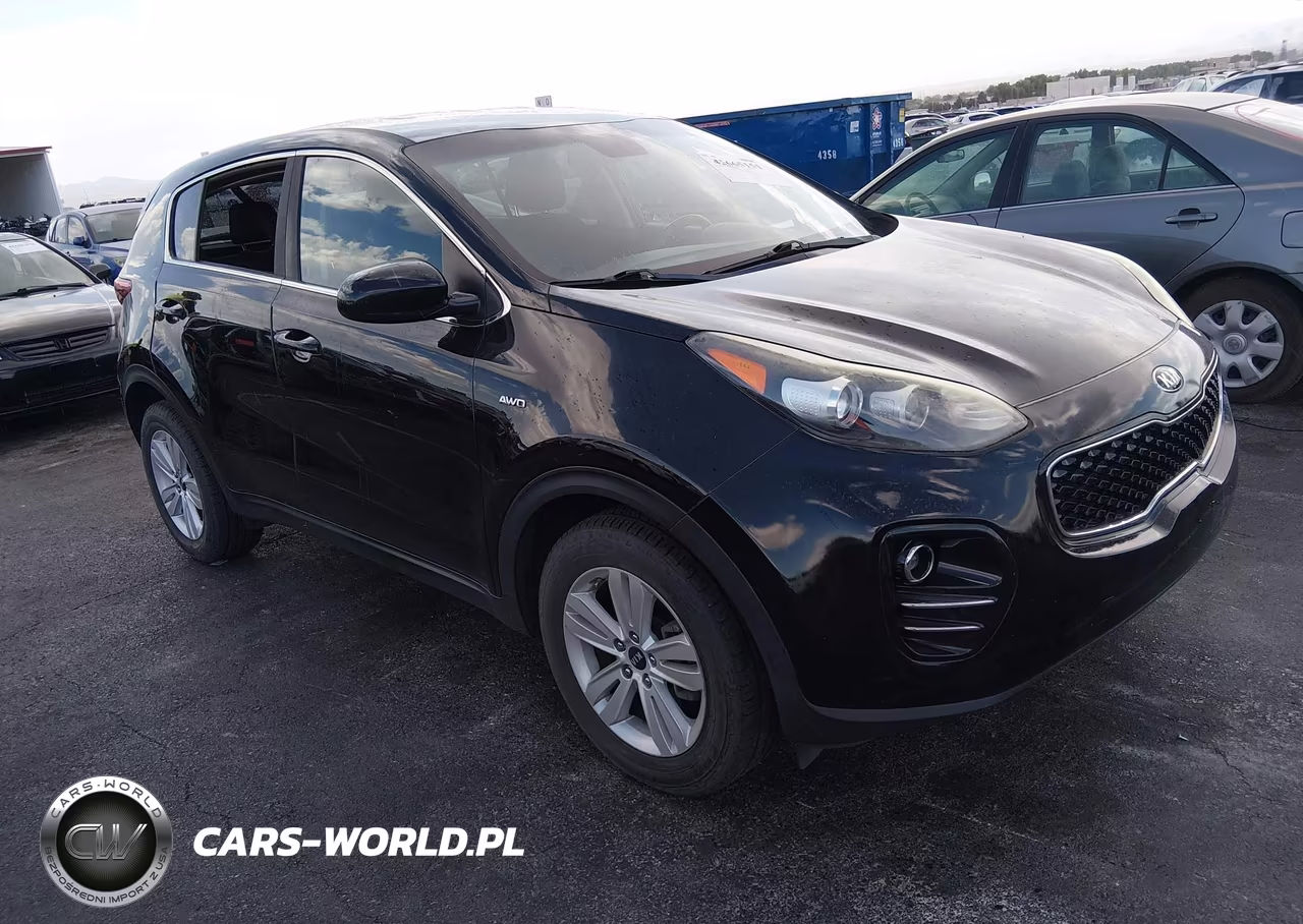2017 Kia Sportage Lx VIN:KNDPMCAC6H7119090 - 1