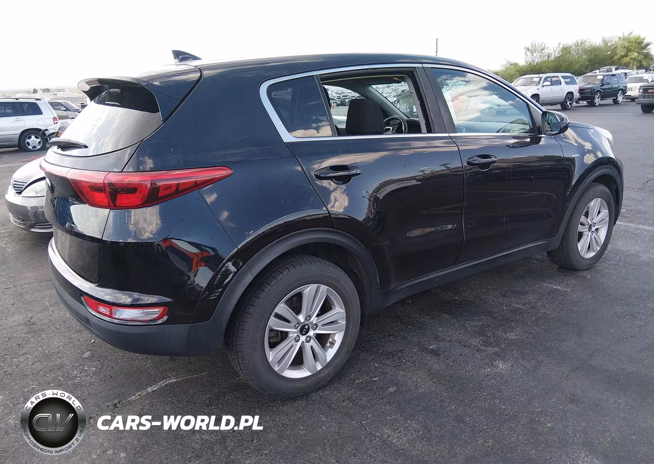 2017 Kia Sportage Lx VIN:KNDPMCAC6H7119090 - 4