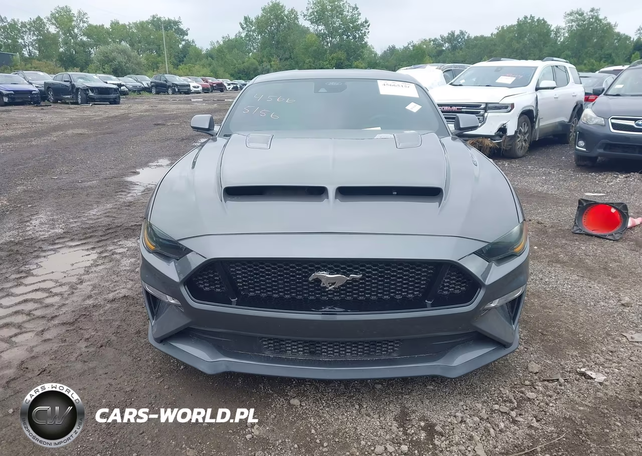 2021 Ford Mustang Gt Fastback VIN:1FA6P8CF5M5120315 - 13
