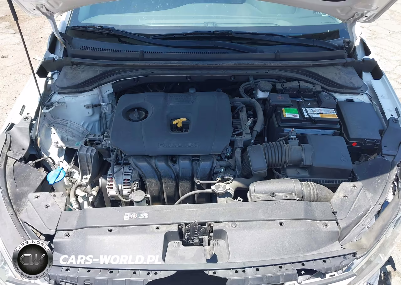 2020 Hyundai Elantra Sel VIN:5NPD84LF5LH600005 - 10
