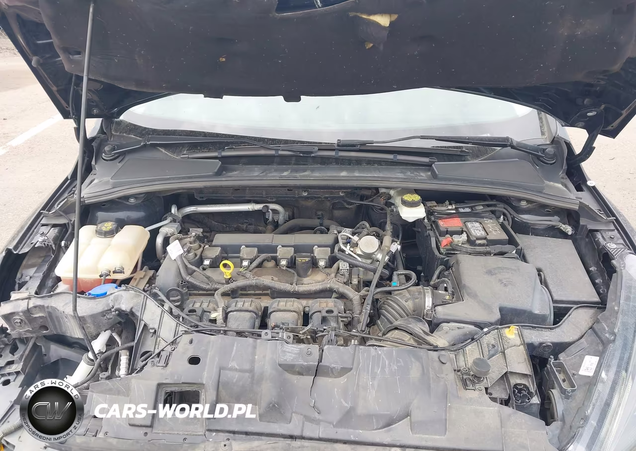 2017 Ford Focus Sel VIN:1FADP3H2XHL237423 - 10