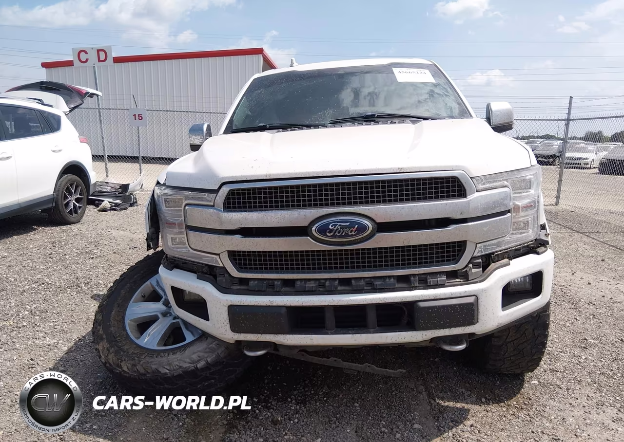 2020 Ford F-150 Platinum VIN:1FTEW1E41LFA51529 - 13