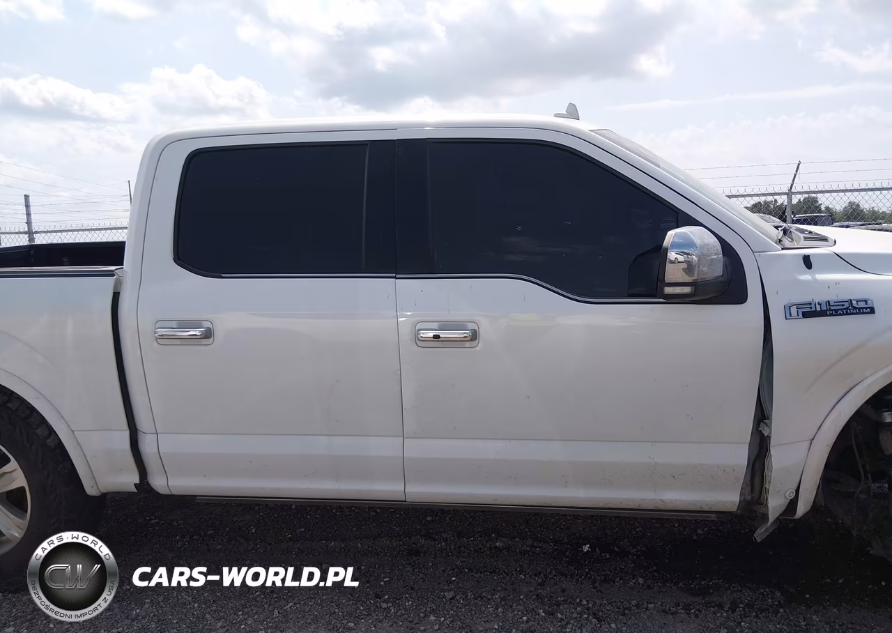 2020 Ford F-150 Platinum VIN:1FTEW1E41LFA51529 - 14