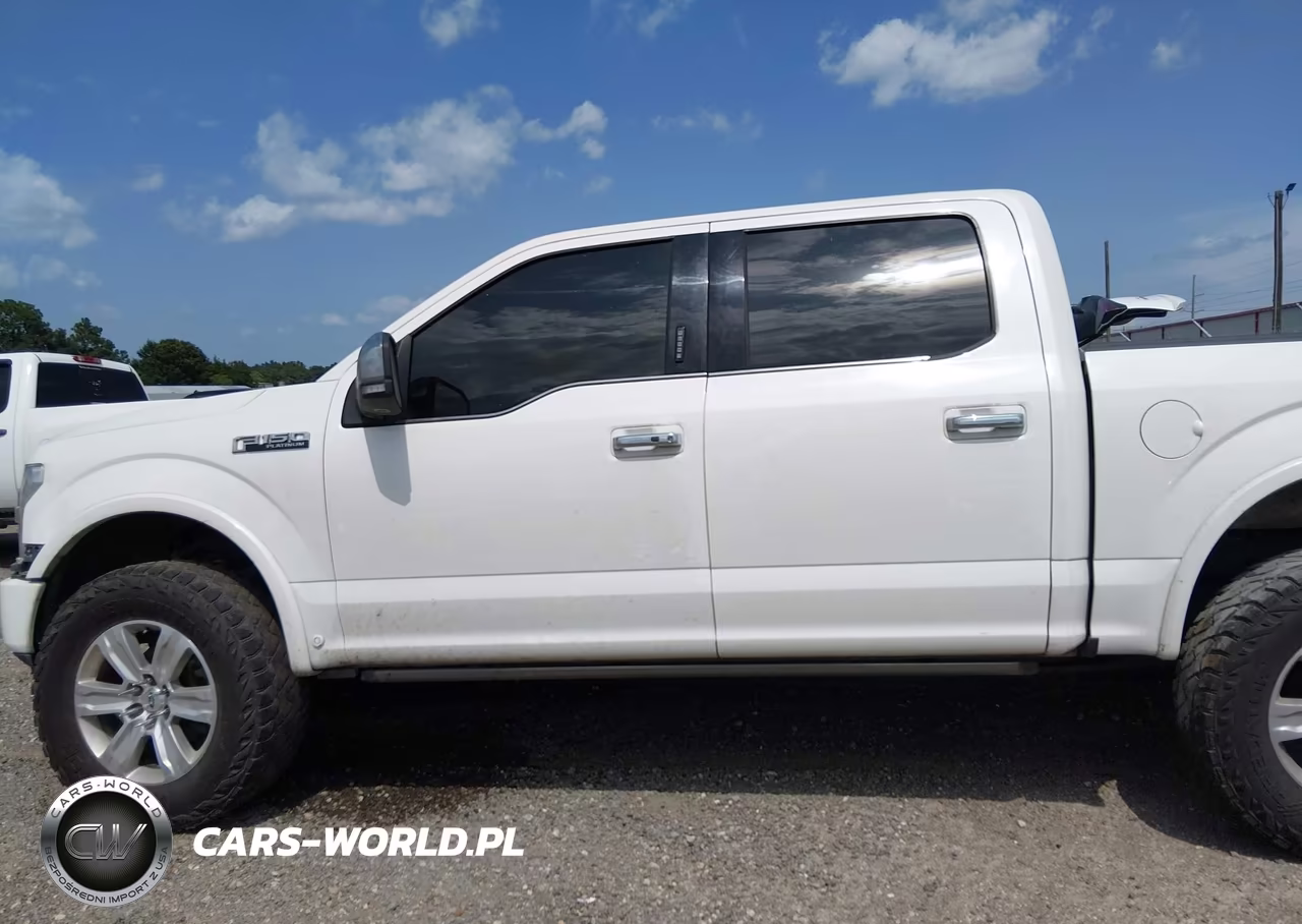 2020 Ford F-150 Platinum VIN:1FTEW1E41LFA51529 - 15