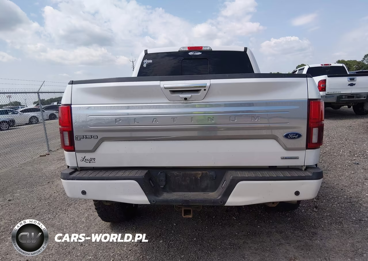 2020 Ford F-150 Platinum VIN:1FTEW1E41LFA51529 - 17