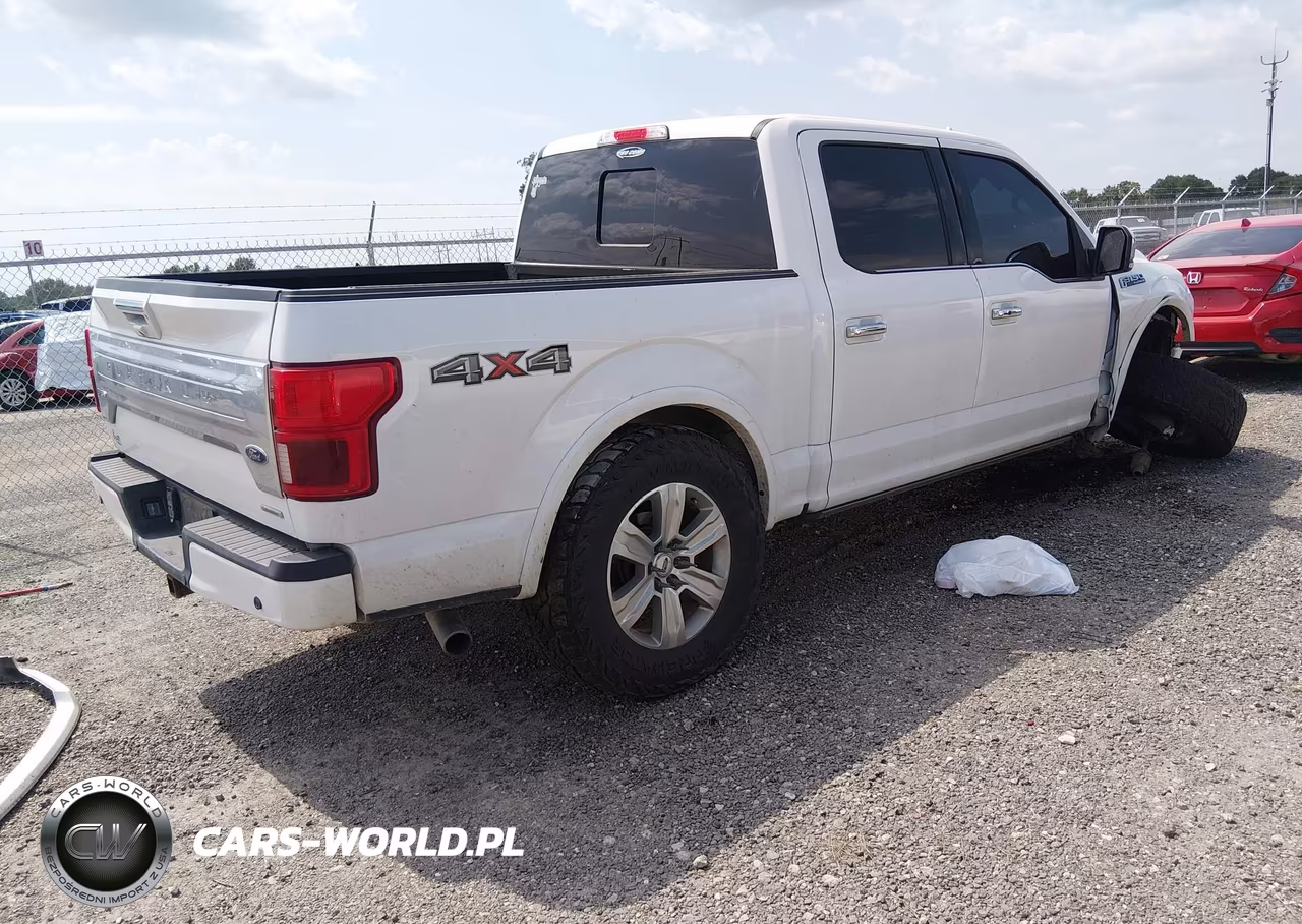 2020 Ford F-150 Platinum VIN:1FTEW1E41LFA51529 - 4