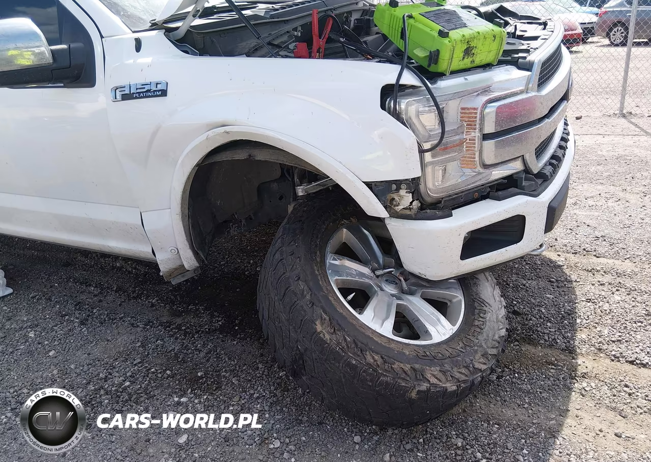 2020 Ford F-150 Platinum VIN:1FTEW1E41LFA51529 - 6