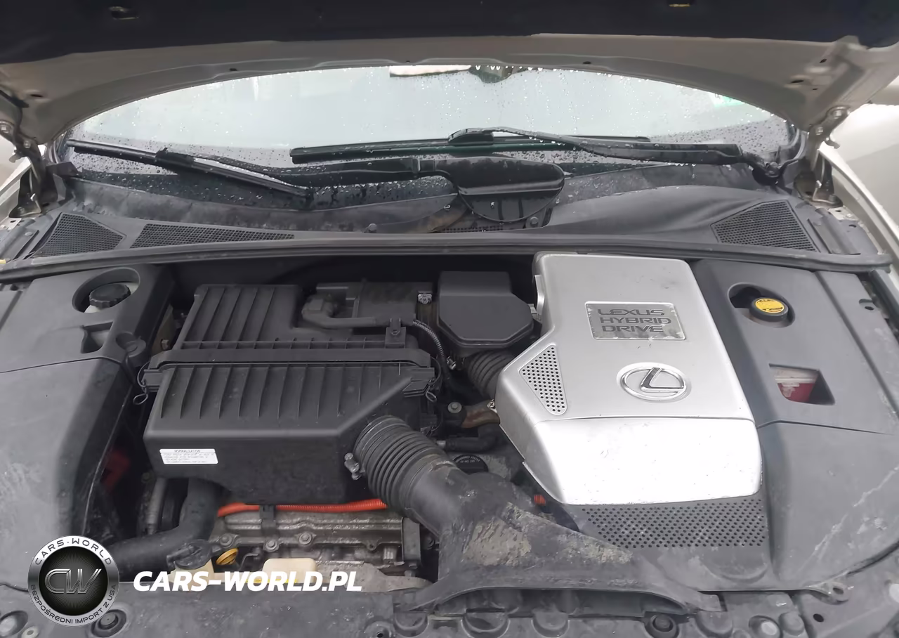 2007 Lexus Rx 400H VIN:JTJHW31U172032584 - 10