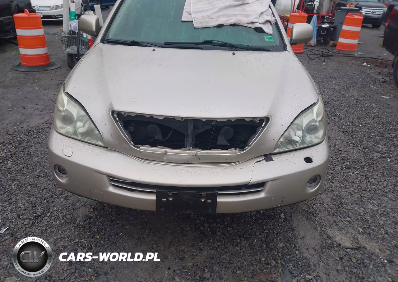2007 Lexus Rx 400H VIN:JTJHW31U172032584 - 6