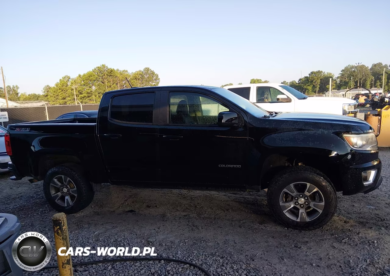 2016 Chevrolet Colorado Z71 VIN:1GCGTDE35G1119652 - 13