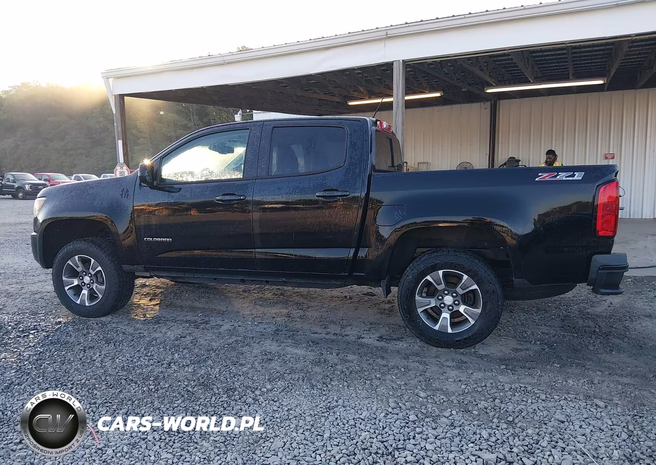 2016 Chevrolet Colorado Z71 VIN:1GCGTDE35G1119652 - 14