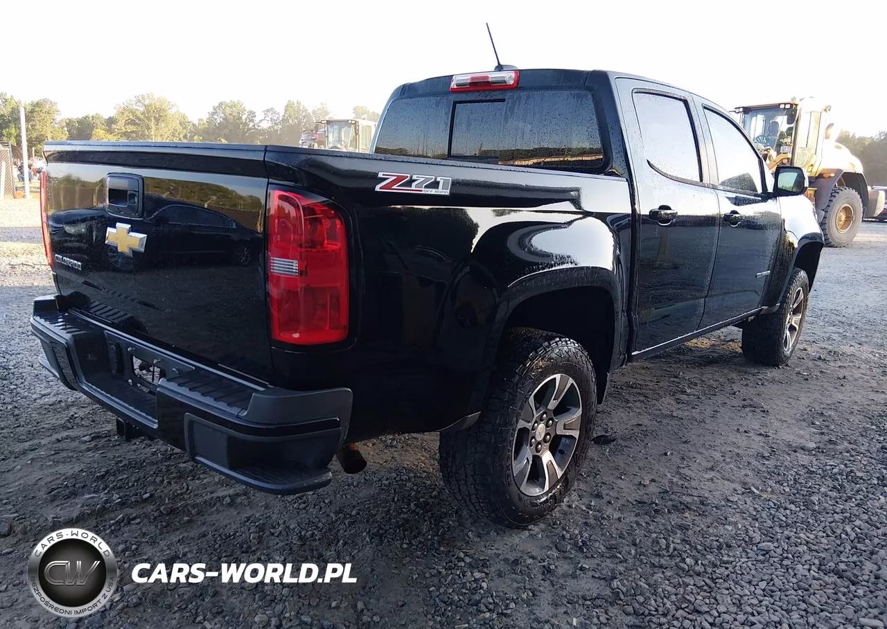 2016 Chevrolet Colorado Z71 VIN:1GCGTDE35G1119652 - 4