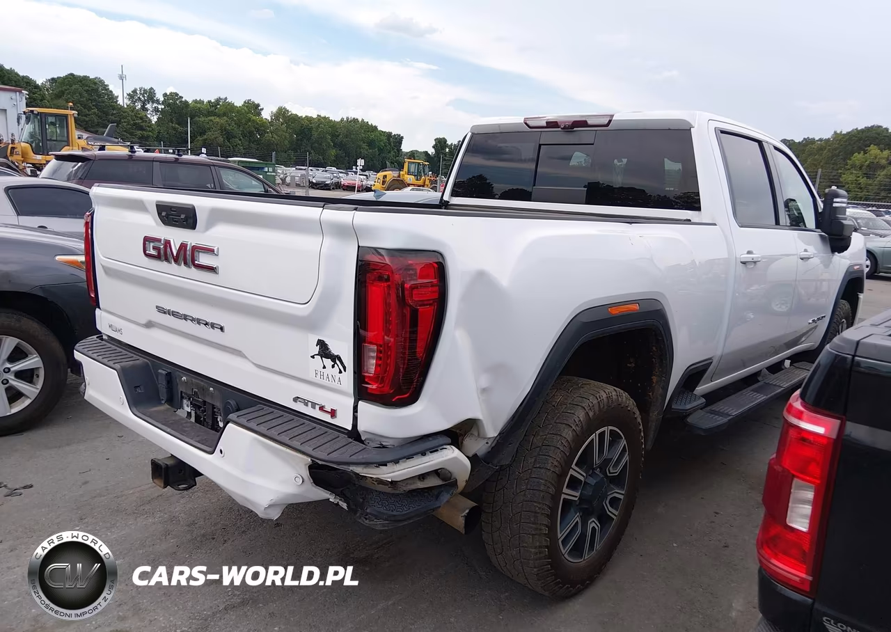 2020 GMC Sierra 2500Hd 4Wd Standard Bed At4 VIN:1GT49PEY2LF335762 - 4