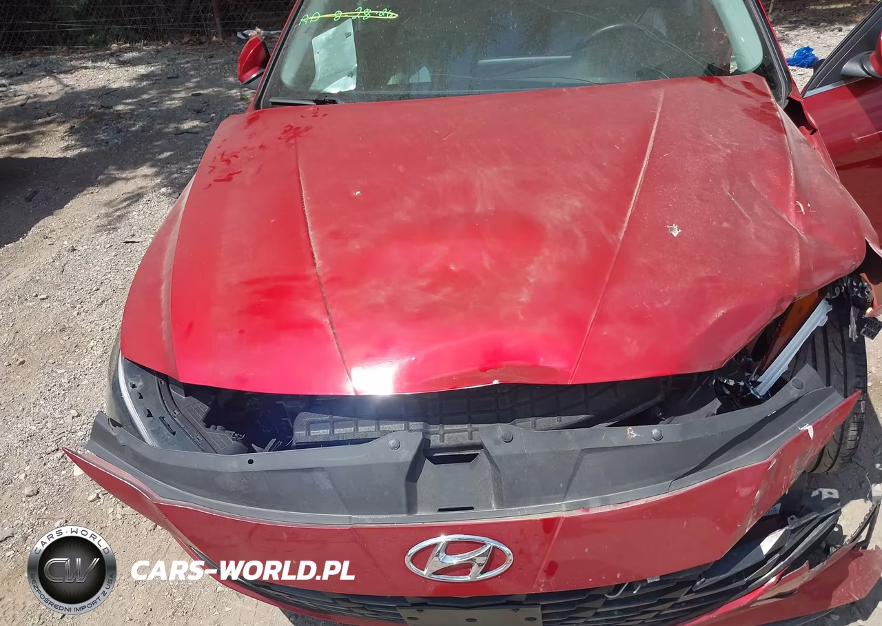2021 Hyundai Elantra Limited VIN:KMHLP4AG1MU118287 - 10