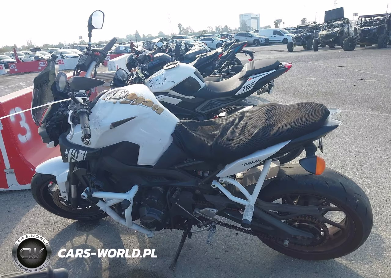 2017 Yamaha Fz09 C VIN:JYARN53Y5HA000536 - 13