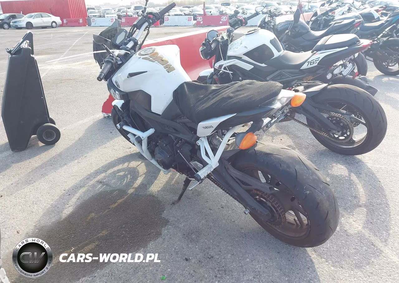 2017 Yamaha Fz09 C VIN:JYARN53Y5HA000536 - 3