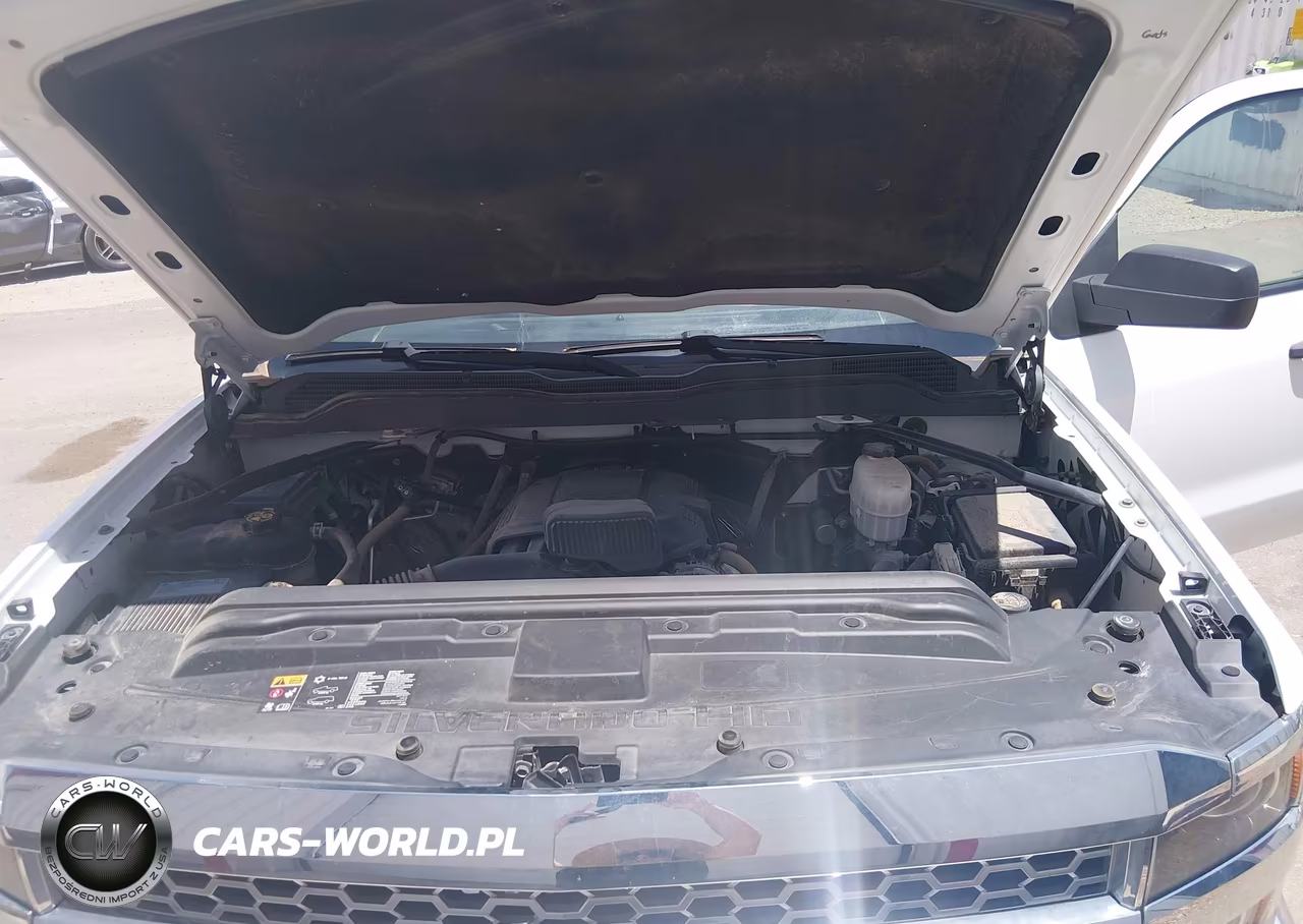 2019 Chevrolet Silverado 2500Hd Wt VIN:1GC1KREG2KF103610 - 10