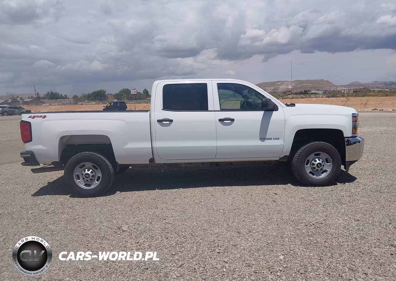 2019 Chevrolet Silverado 2500Hd Wt VIN:1GC1KREG2KF103610 - 13
