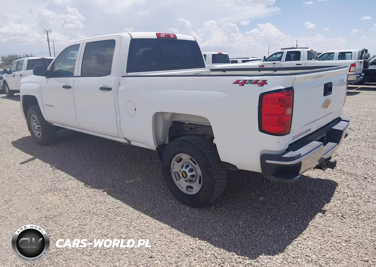 2019 Chevrolet Silverado 2500Hd Wt VIN:1GC1KREG2KF103610 - 3