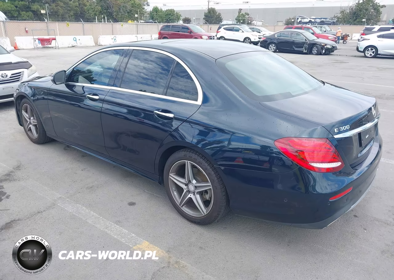 2017 Mercedes-Benz E 300 VIN:WDDZF4JB4HA008031 - 3