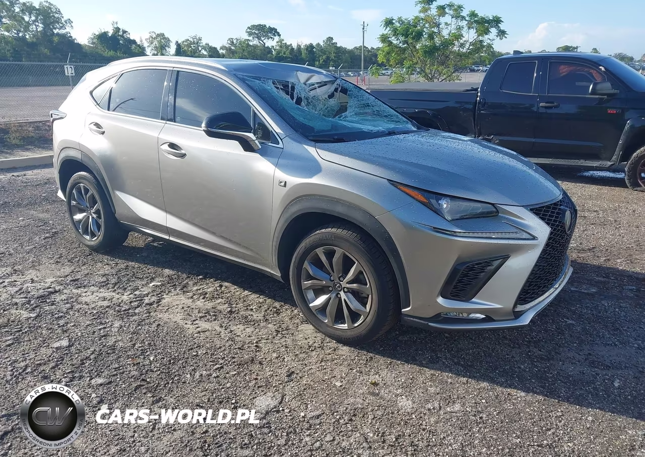 2020 Lexus Nx 300 F Sport