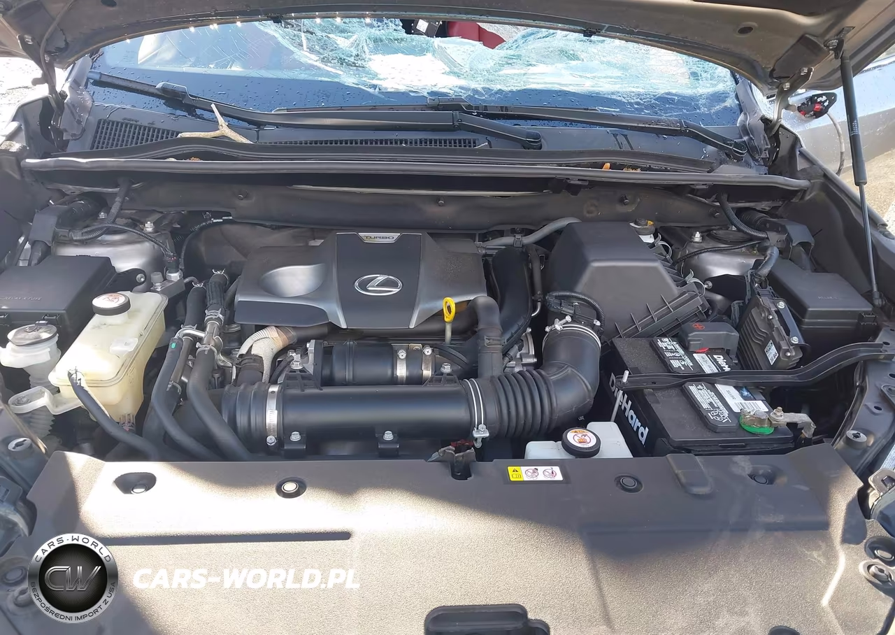 2020 Lexus Nx 300 F Sport VIN:JTJJARBZ3L5012679 - 10