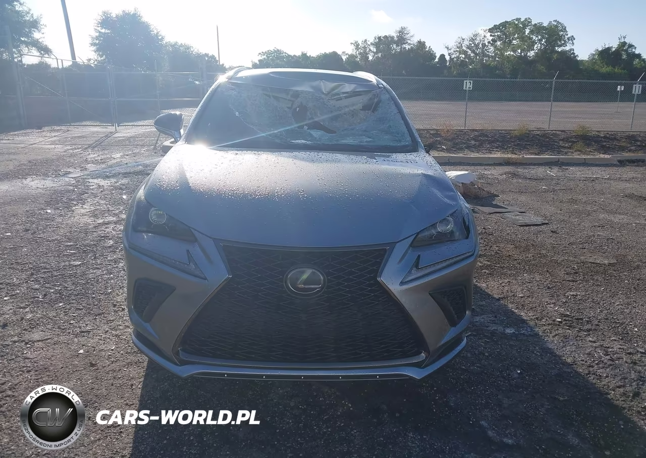 2020 Lexus Nx 300 F Sport VIN:JTJJARBZ3L5012679 - 12