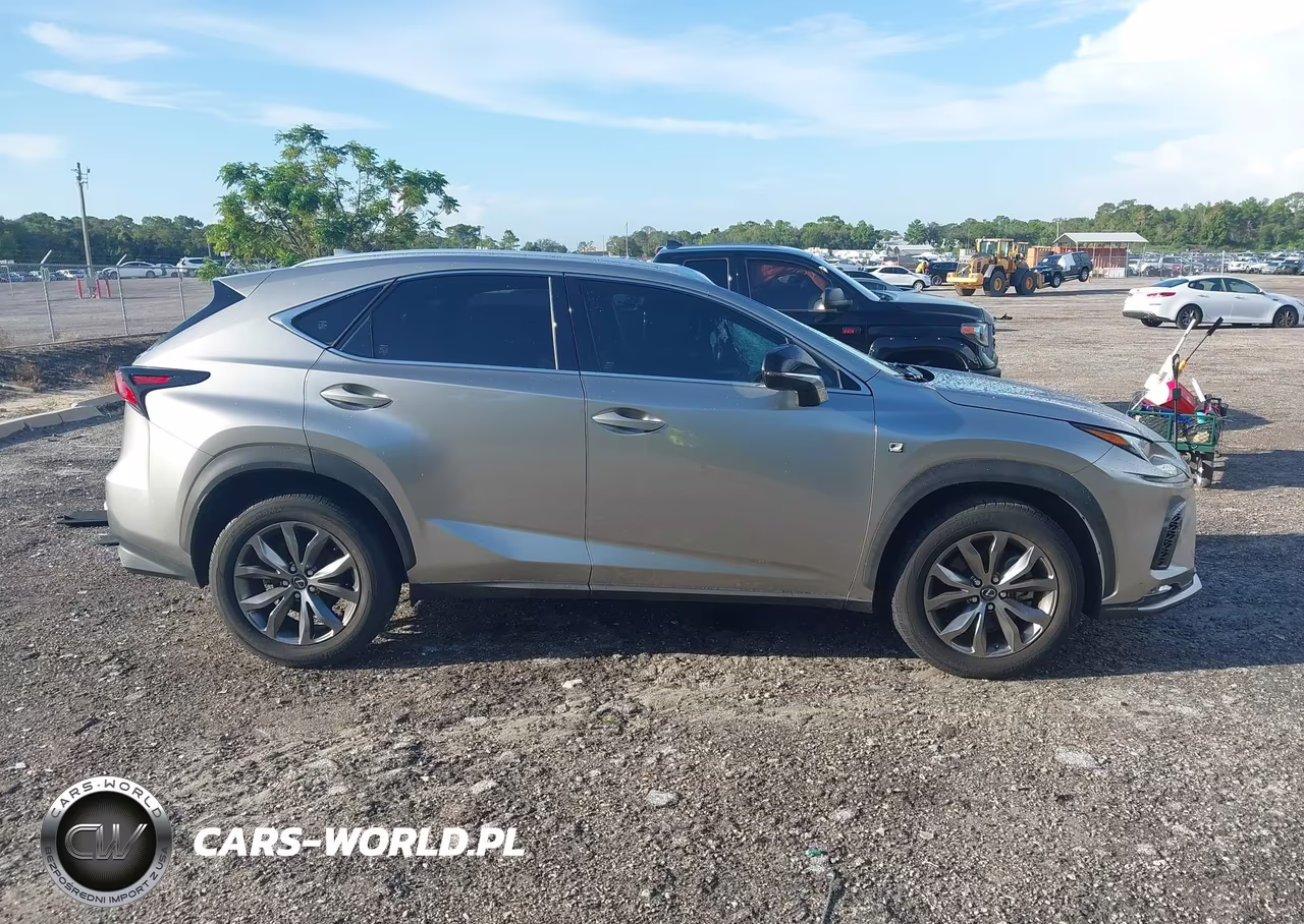 2020 Lexus Nx 300 F Sport VIN:JTJJARBZ3L5012679 - 13