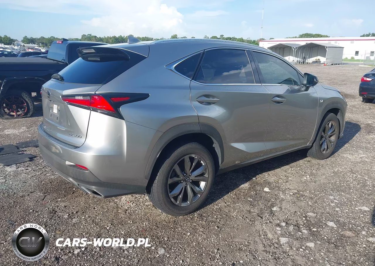 2020 Lexus Nx 300 F Sport VIN:JTJJARBZ3L5012679 - 4
