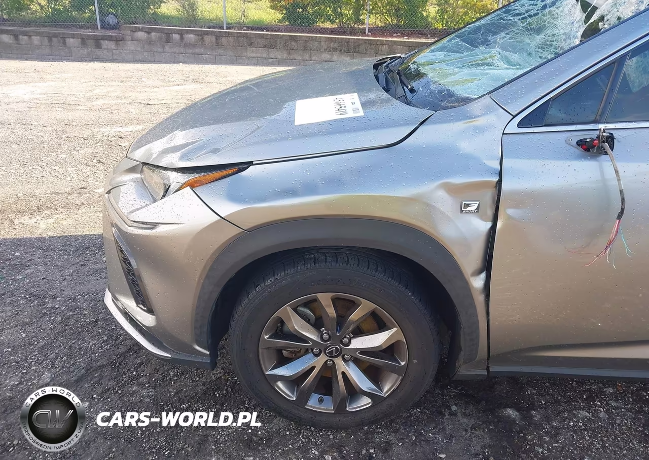 2020 Lexus Nx 300 F Sport VIN:JTJJARBZ3L5012679 - 6