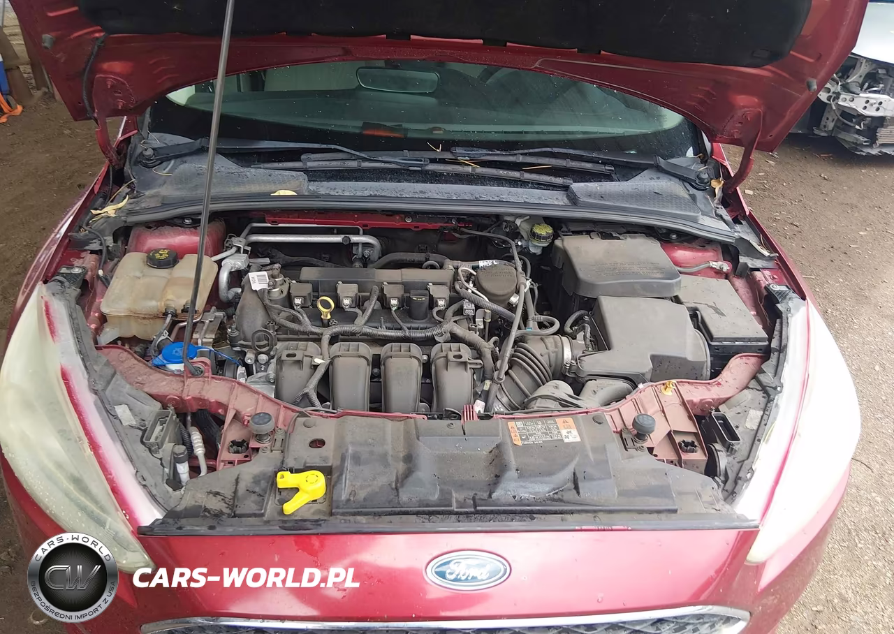 2015 Ford Focus Se VIN:1FADP3K27FL358318 - 10