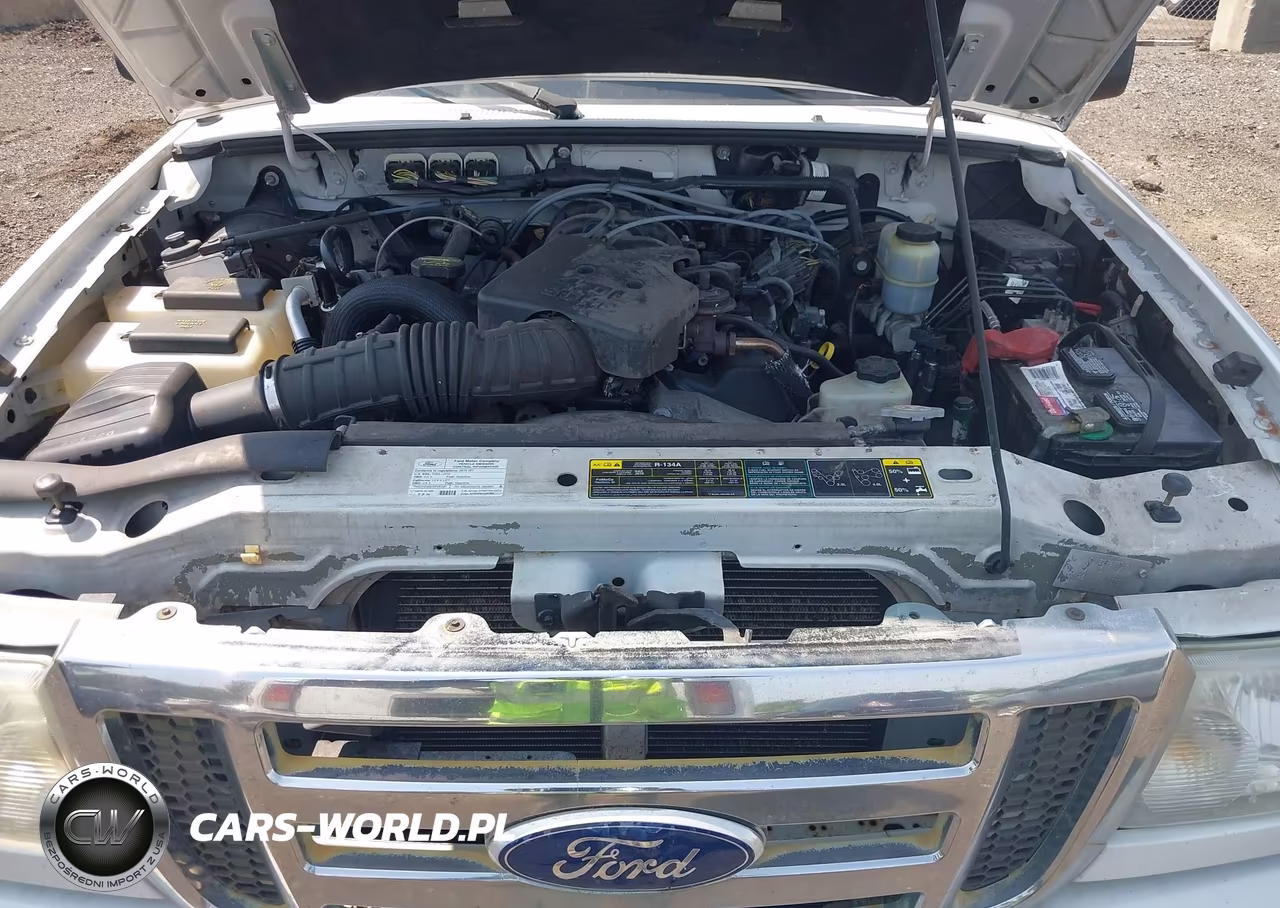2010 Ford Ranger Sport-Xlt VIN:1FTLR4FE3APA38313 - 10