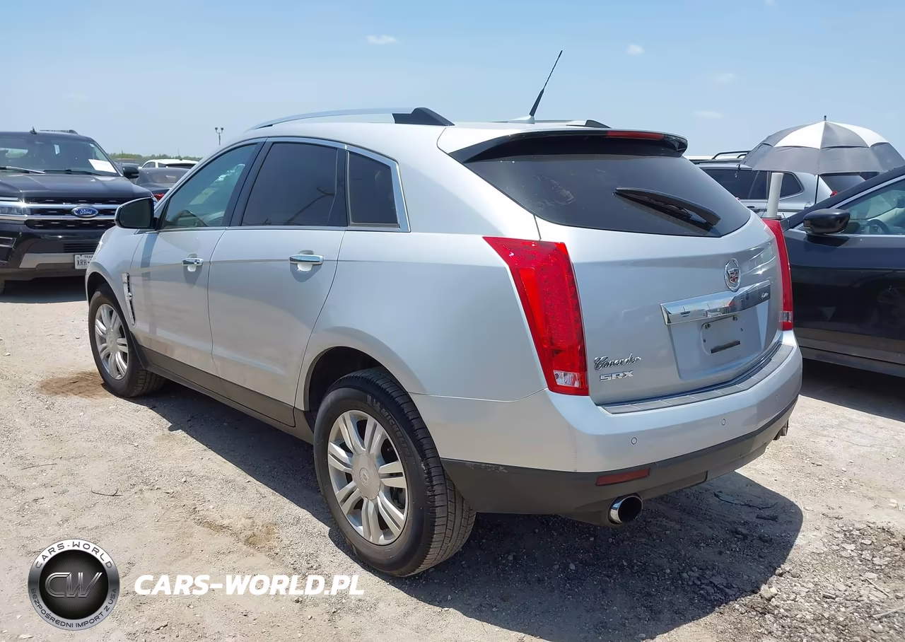 2010 Cadillac Srx Luxury Collection VIN:3GYFNAEY2AS543919 - 3