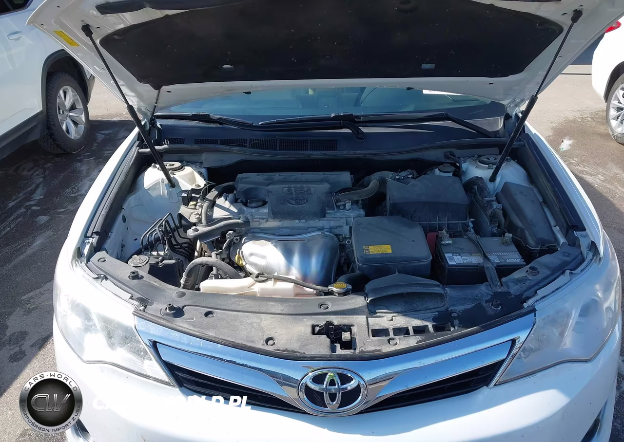 2014 Toyota Camry Xle VIN:4T1BF1FK8EU819730 - 10